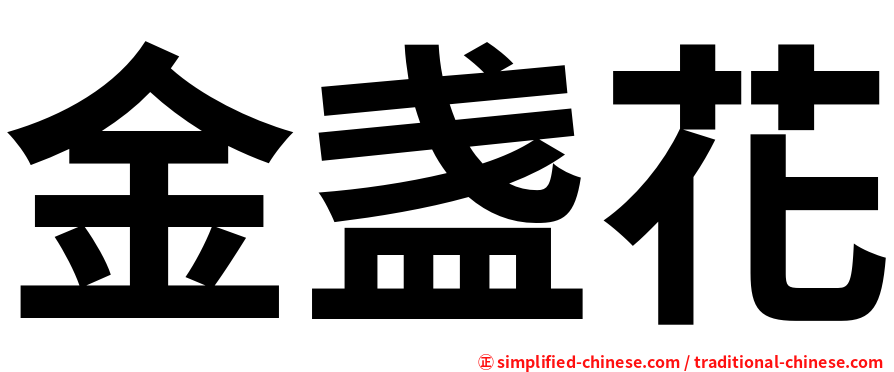 金盏花