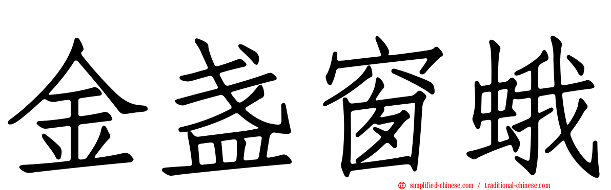金盏窗蛾