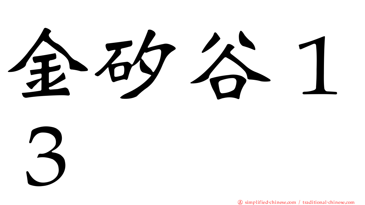 金矽谷１３