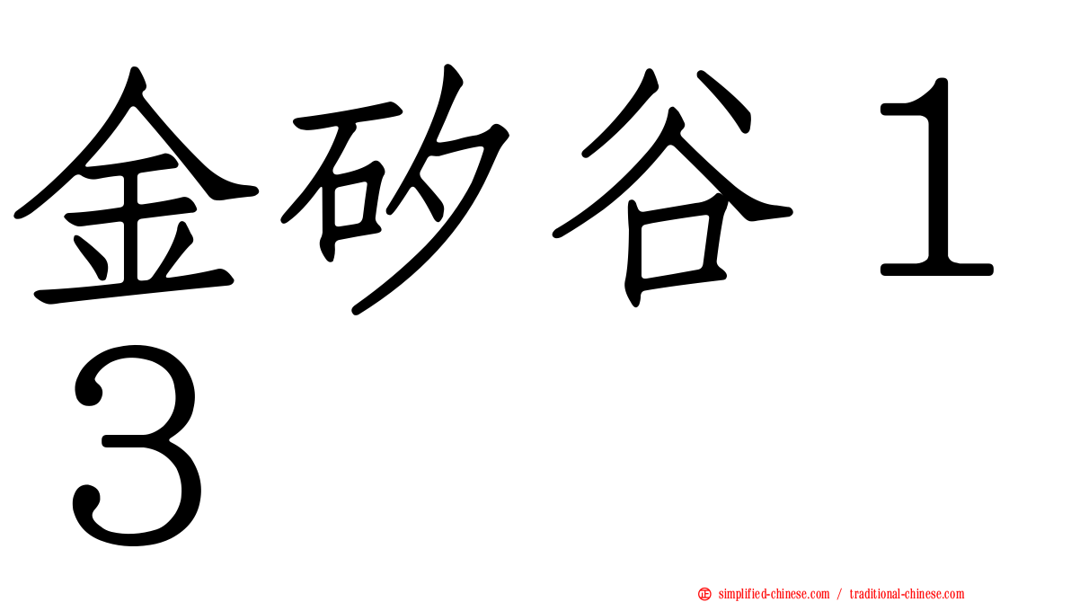 金矽谷１３