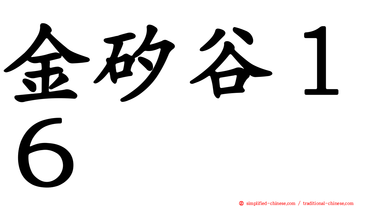 金矽谷１６