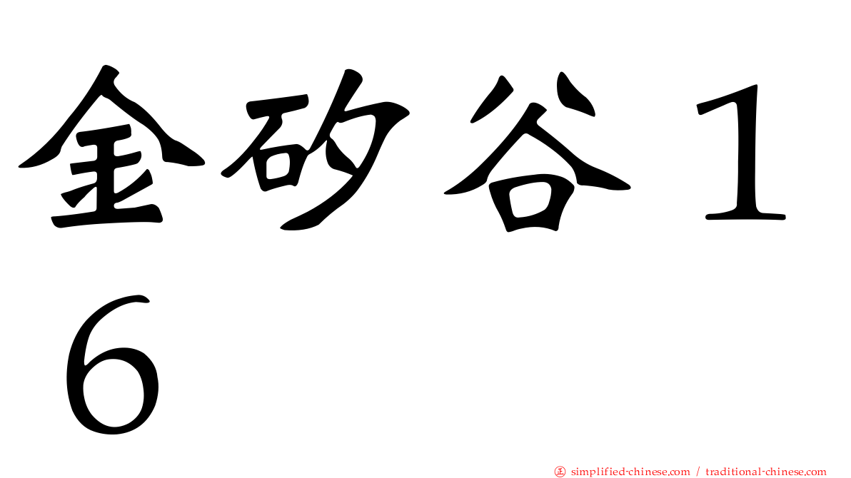 金矽谷１６