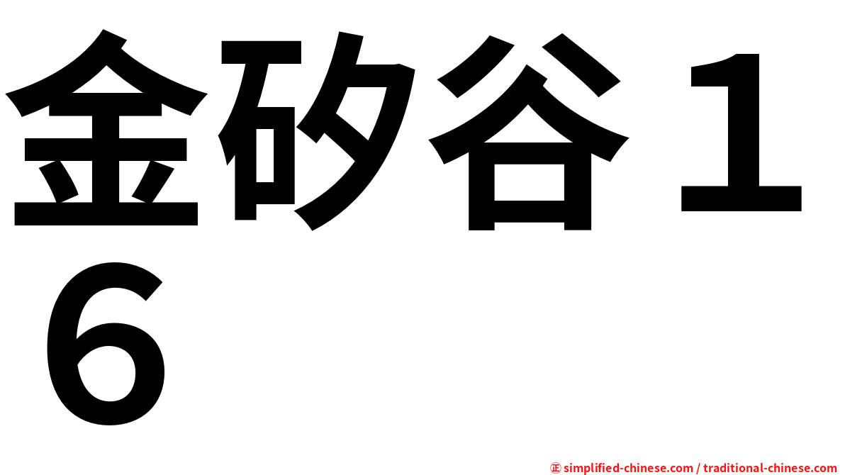金矽谷１６