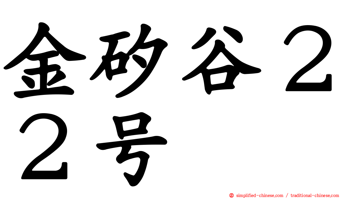 金矽谷２２号
