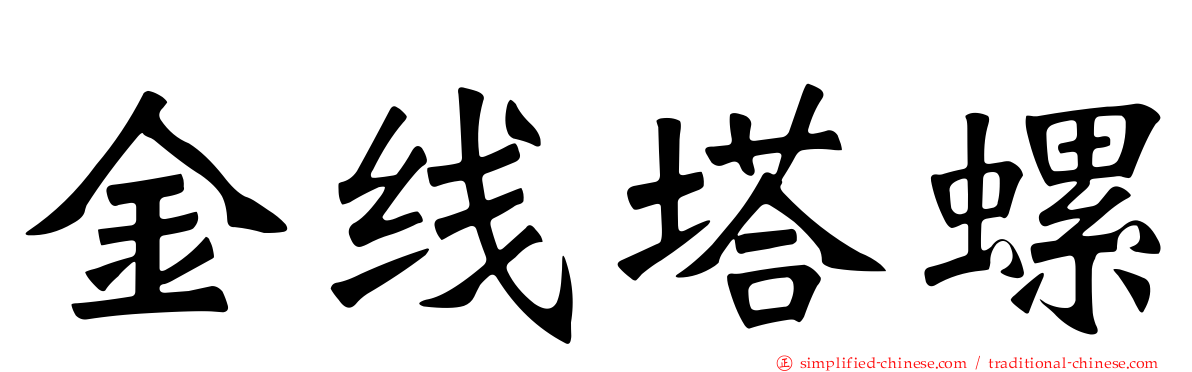 金线塔螺