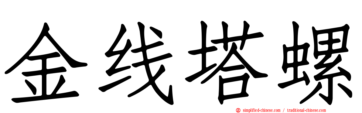 金线塔螺