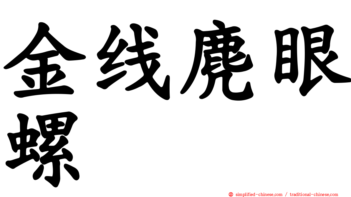 金线麂眼螺