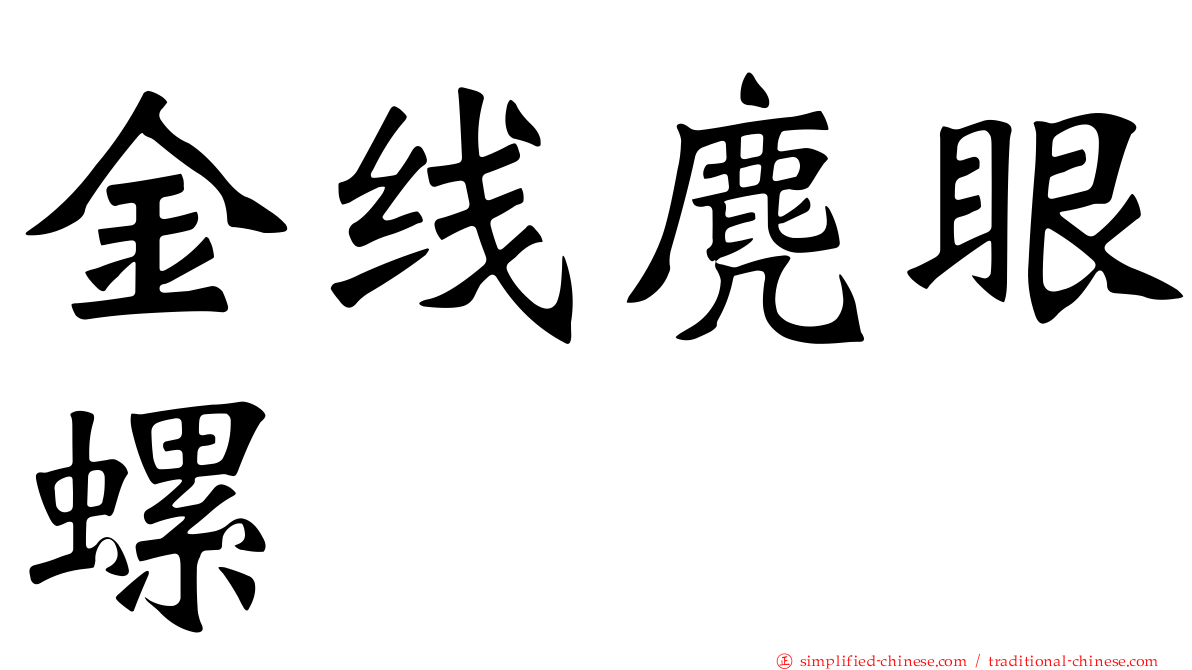 金线麂眼螺