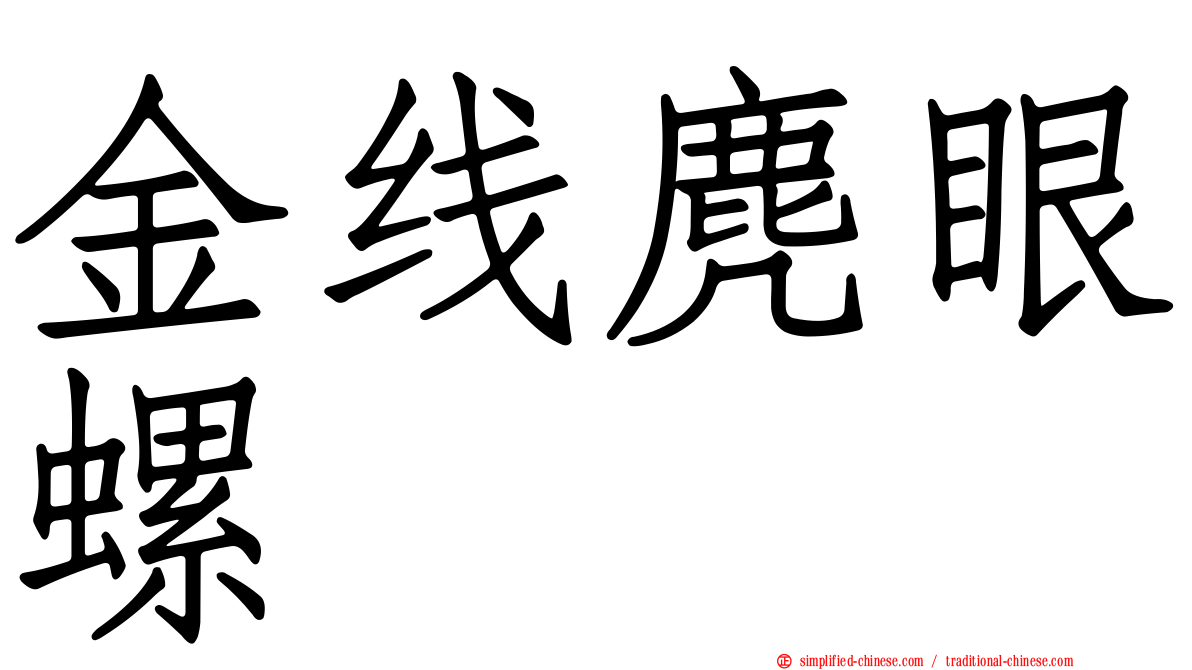 金线麂眼螺
