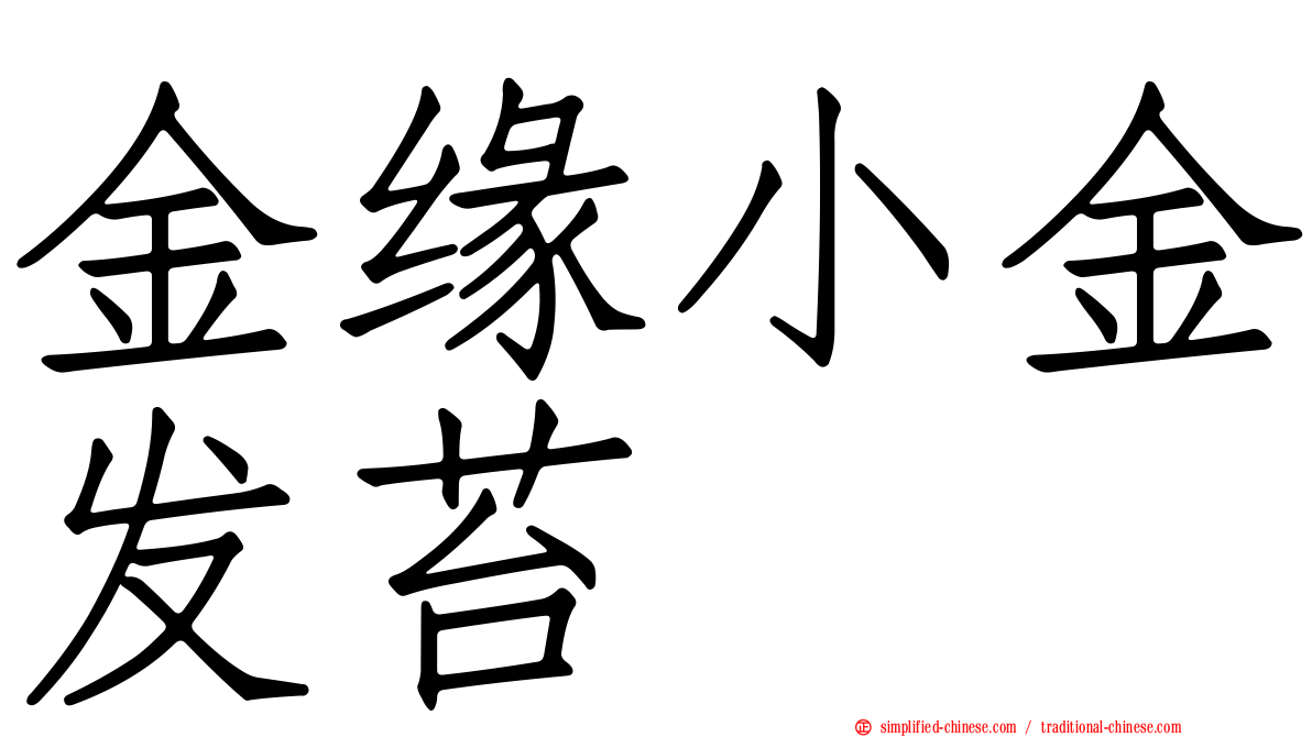 金缘小金发苔