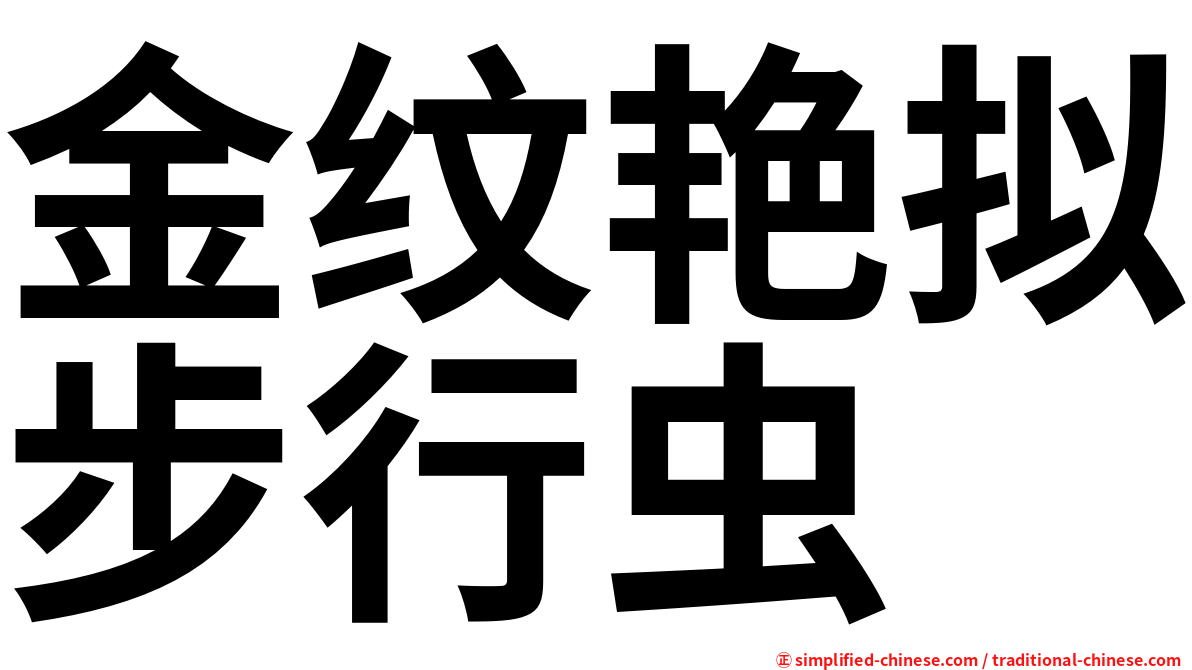 金纹艳拟步行虫