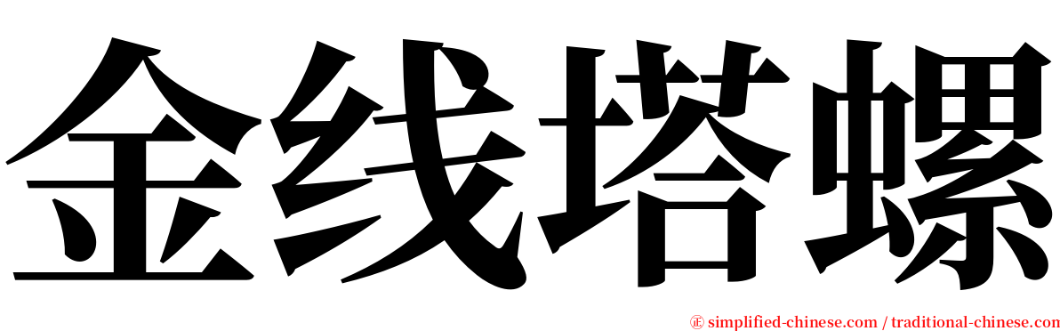 金线塔螺 serif font