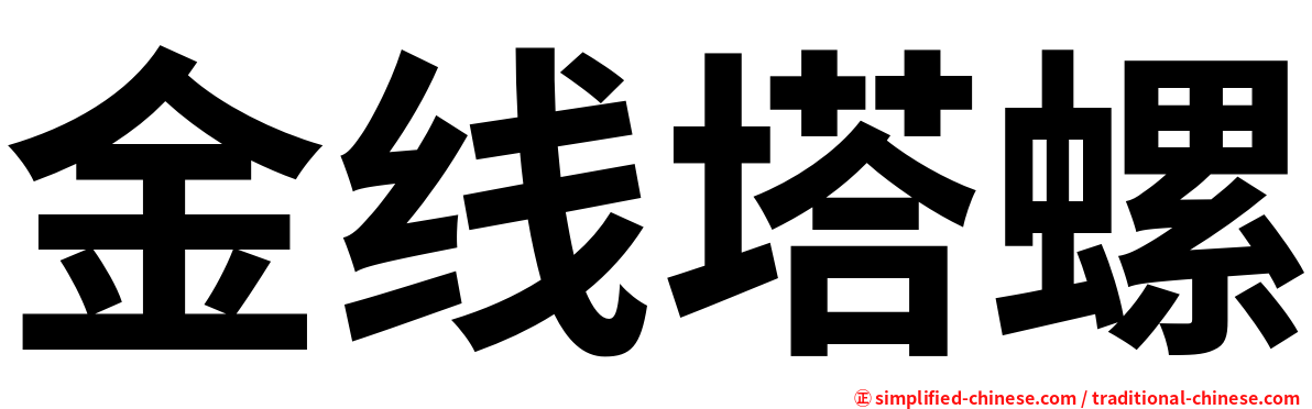 金线塔螺