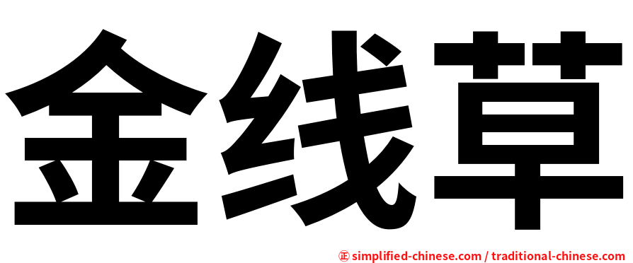 金线草