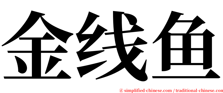 金线鱼 serif font