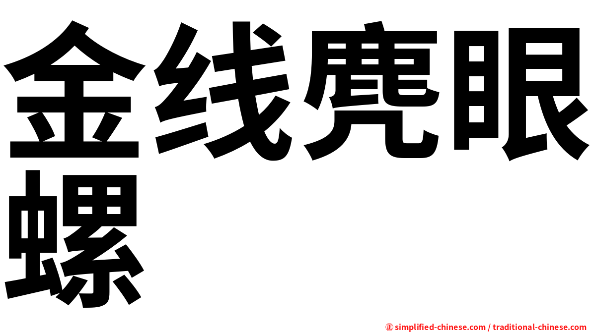 金线麂眼螺