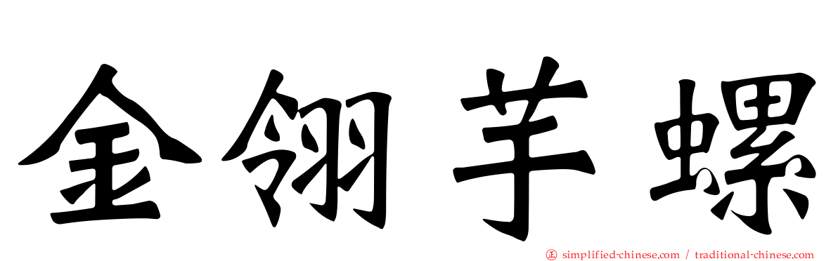 金翎芋螺