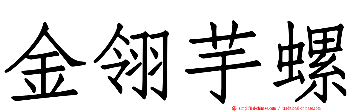 金翎芋螺