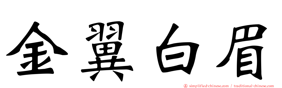 金翼白眉