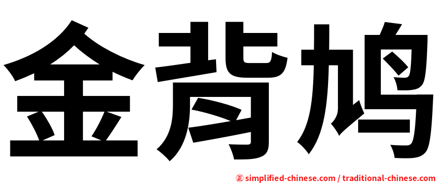 金背鸠
