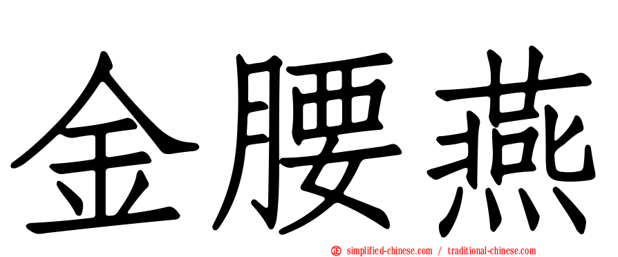 金腰燕