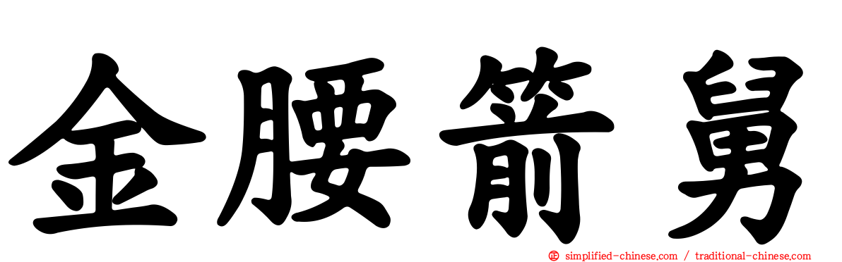 金腰箭舅