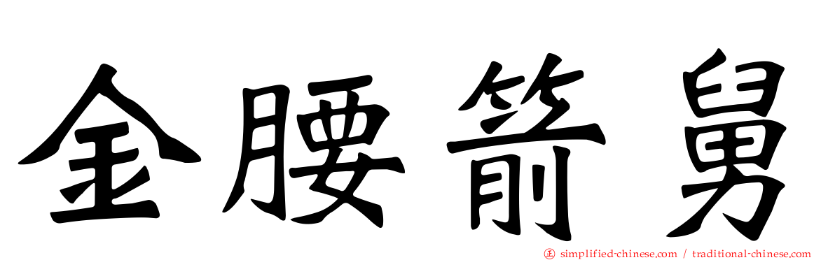 金腰箭舅