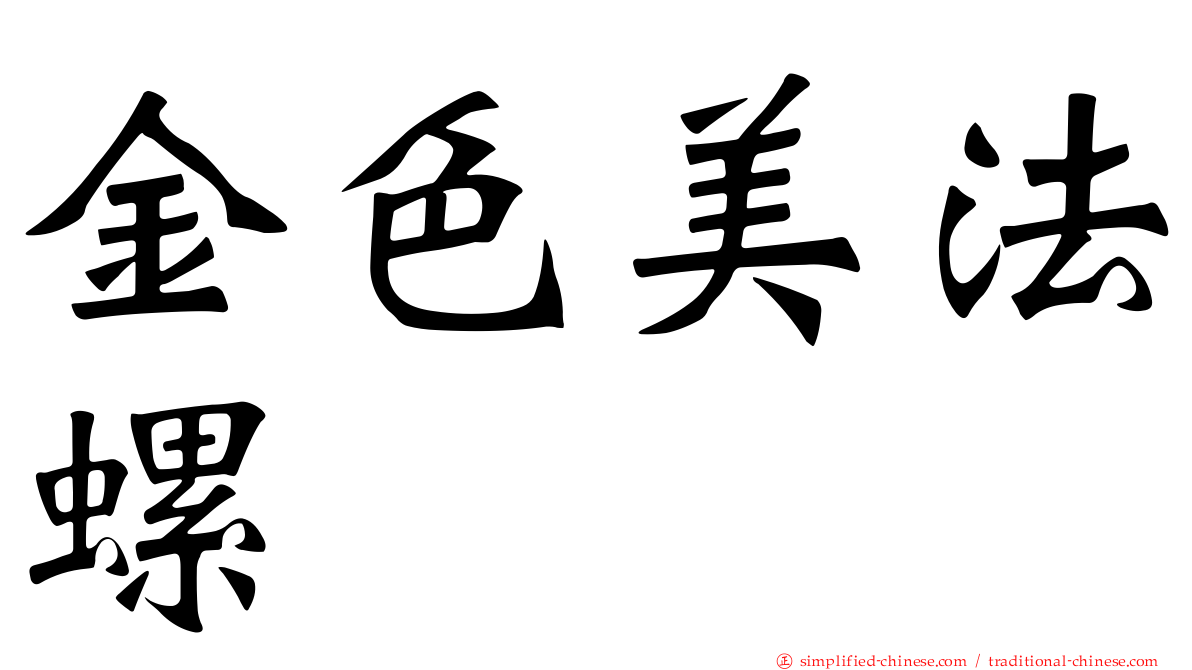 金色美法螺