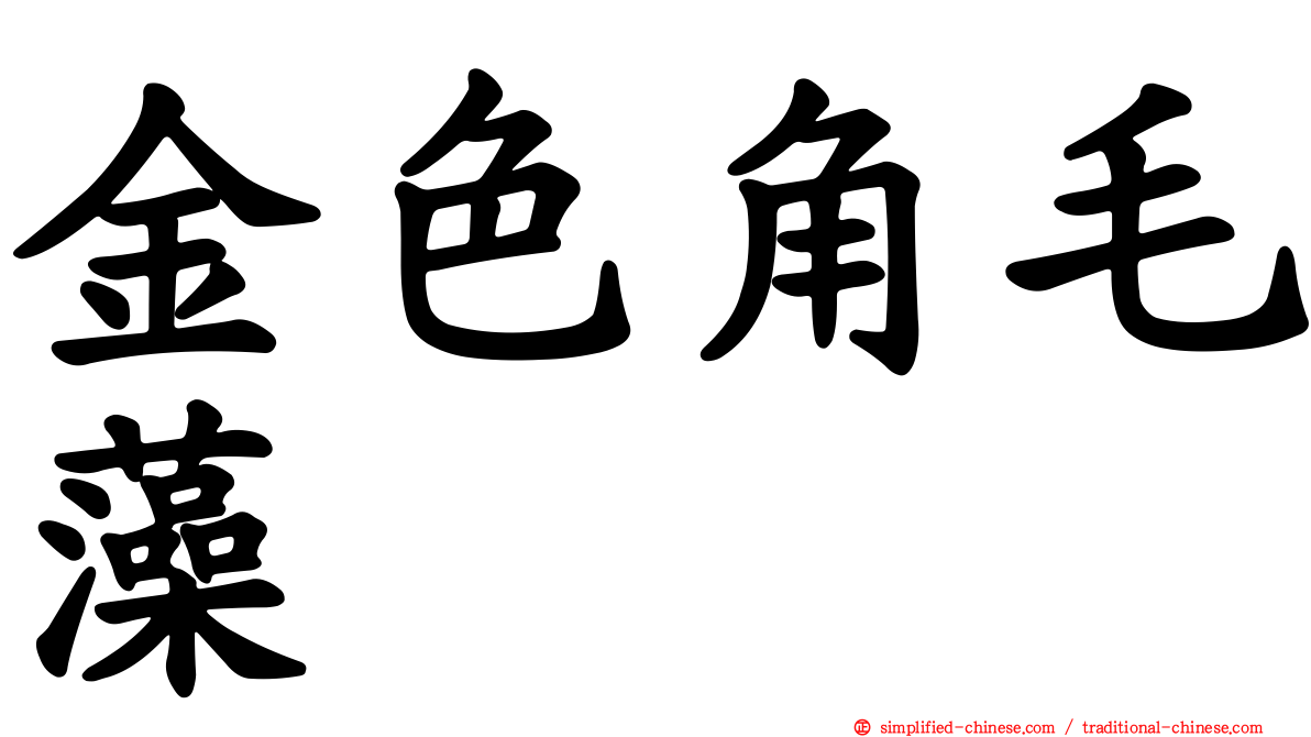 金色角毛藻