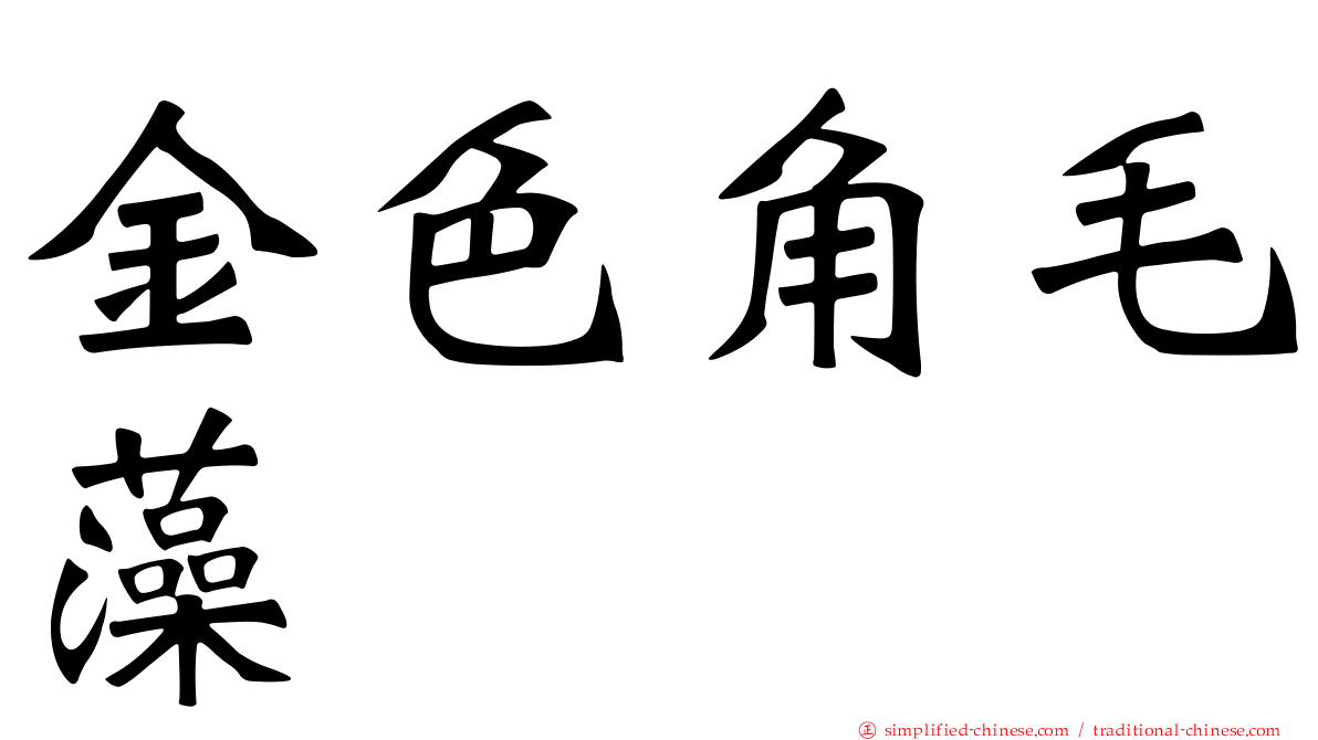 金色角毛藻