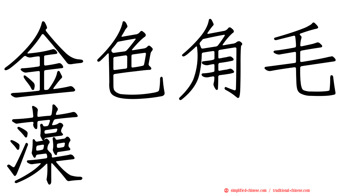 金色角毛藻