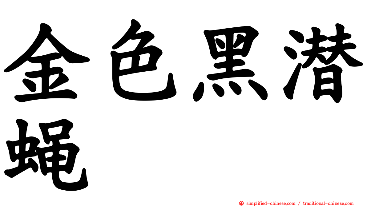 金色黑潜蝇