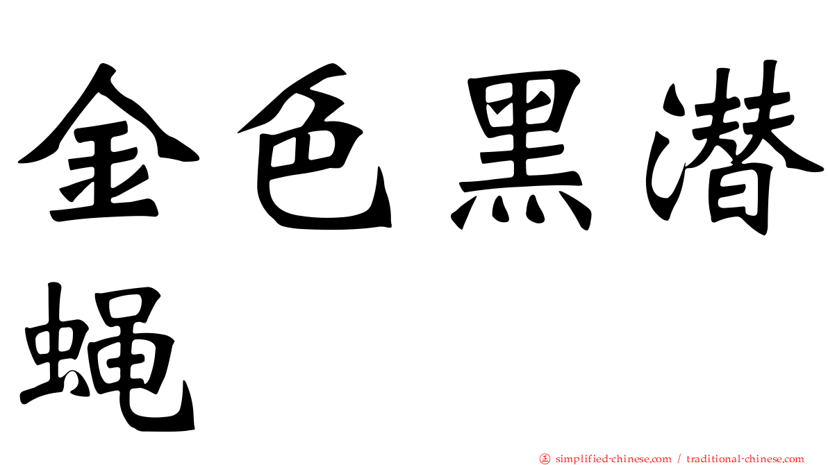 金色黑潜蝇