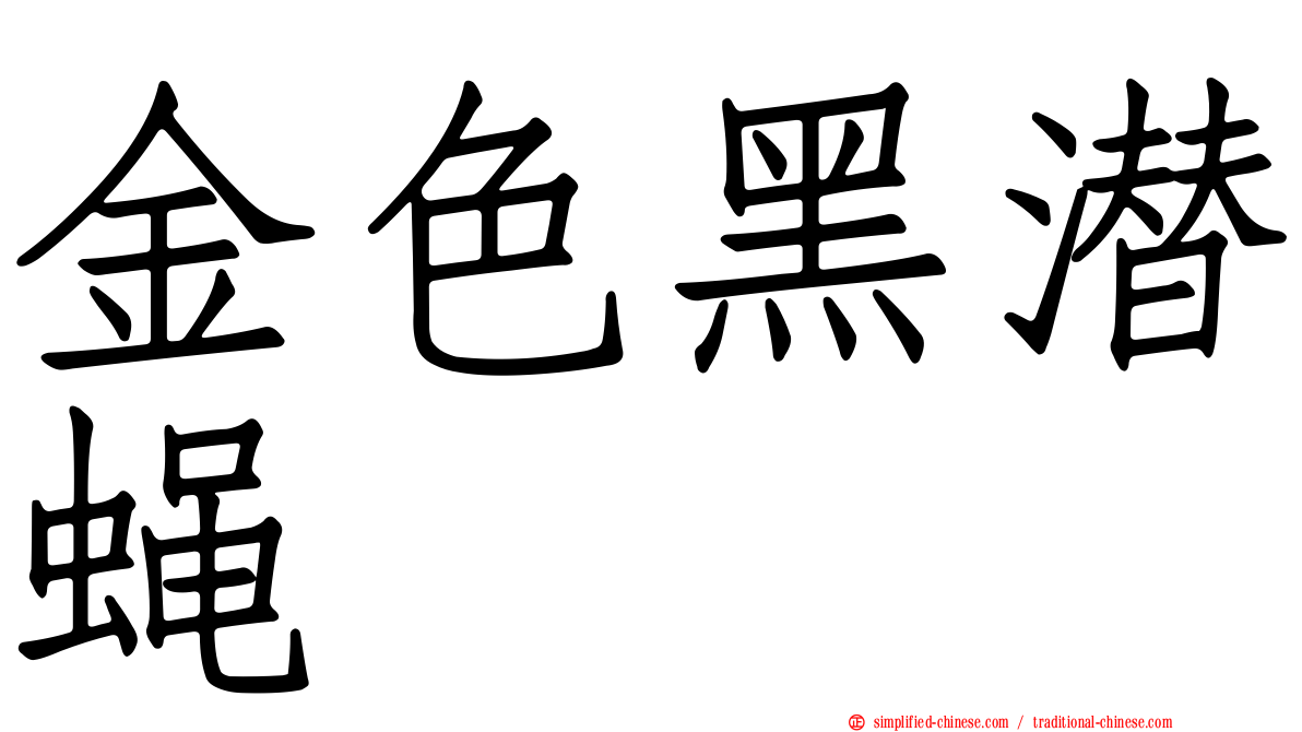 金色黑潜蝇