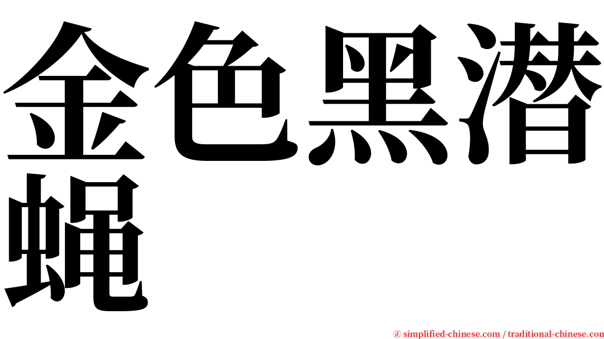 金色黑潜蝇 serif font