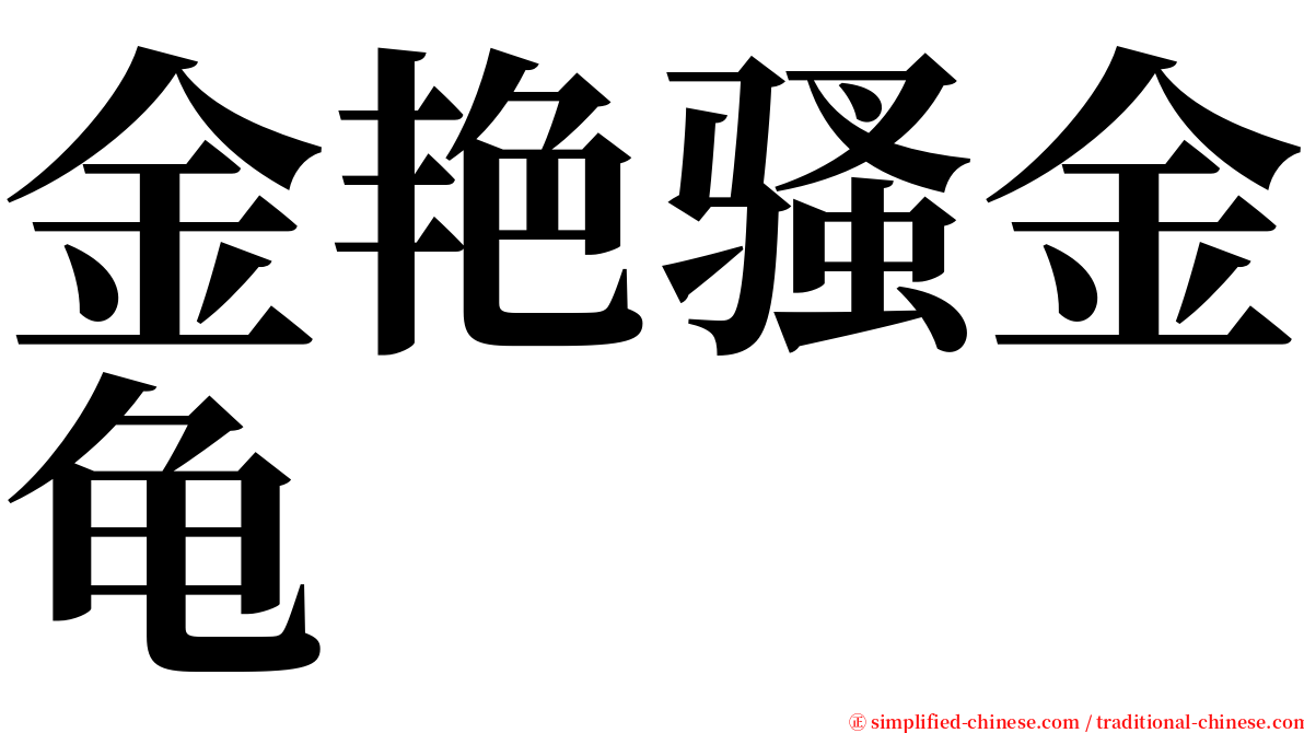 金艳骚金龟 serif font