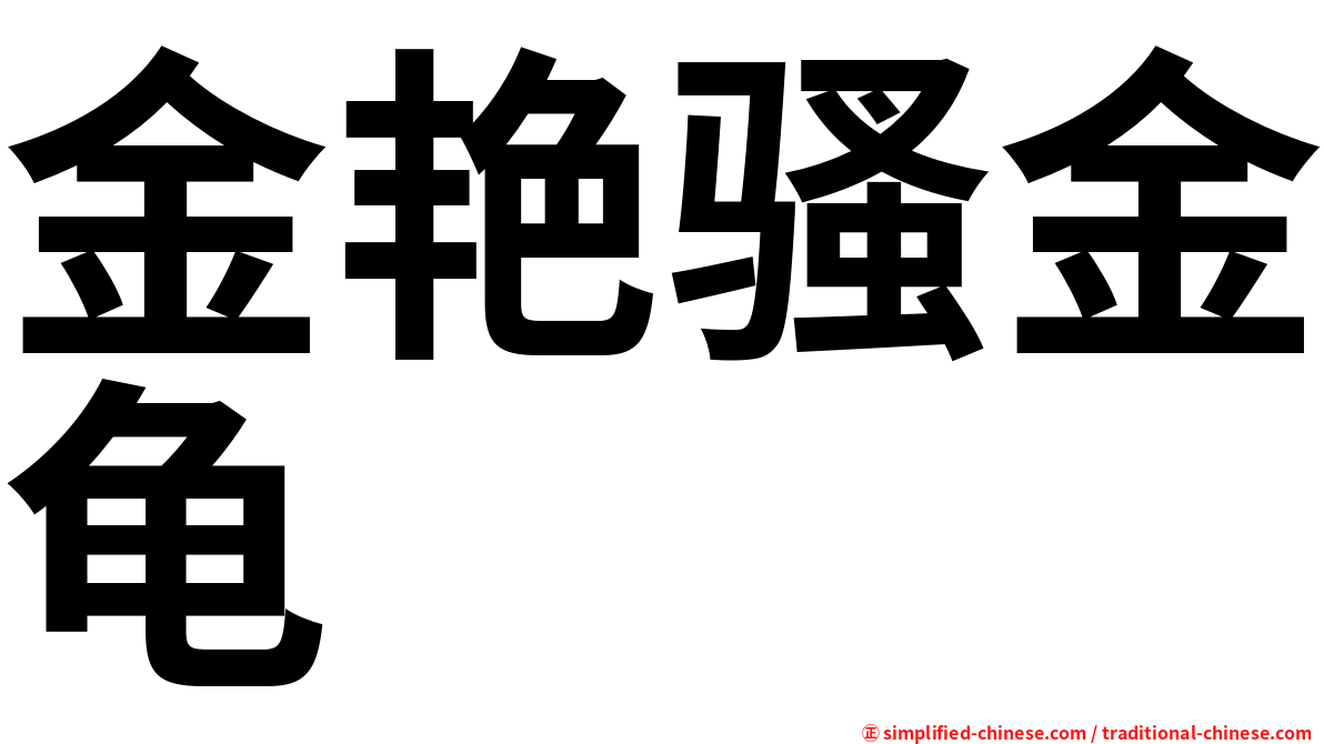 金艳骚金龟