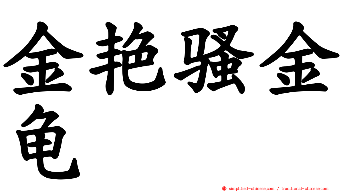 金艳骚金龟