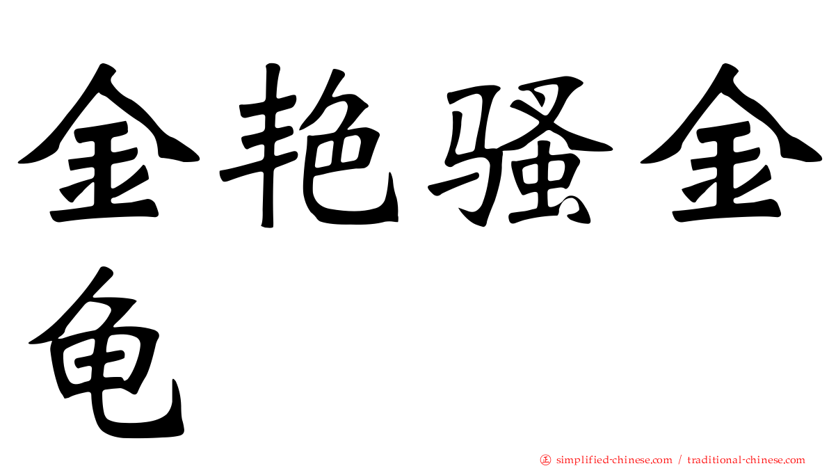 金艳骚金龟