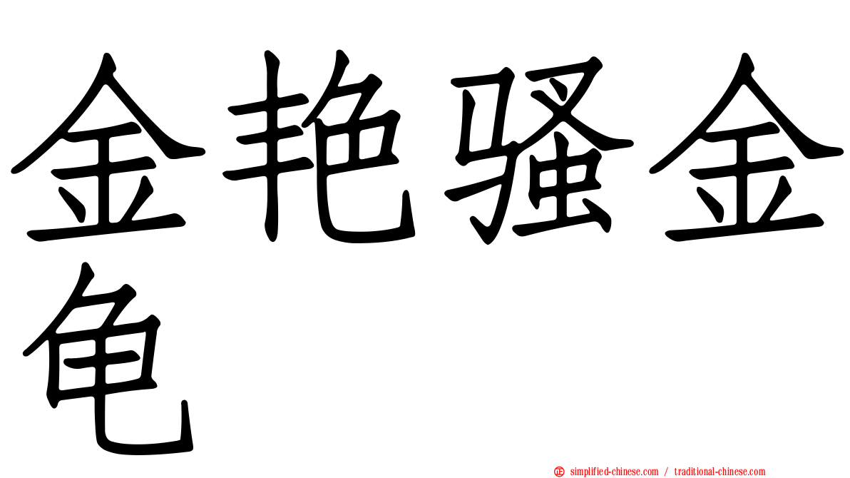 金艳骚金龟