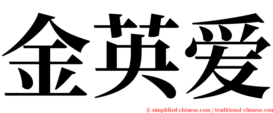 金英爱 serif font