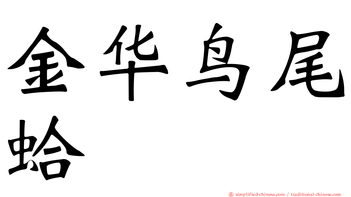 金华鸟尾蛤