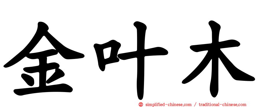 金叶木