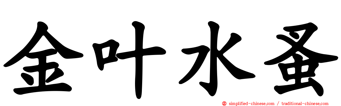 金叶水蚤