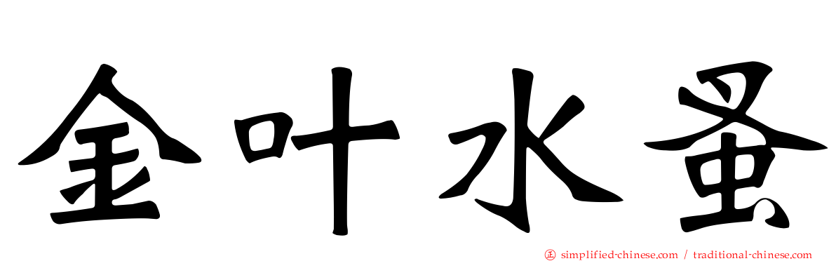 金叶水蚤