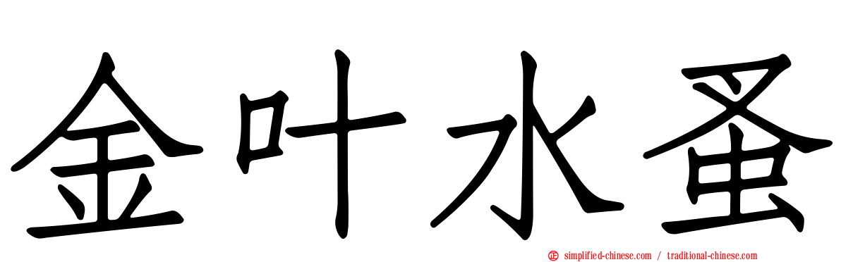 金叶水蚤
