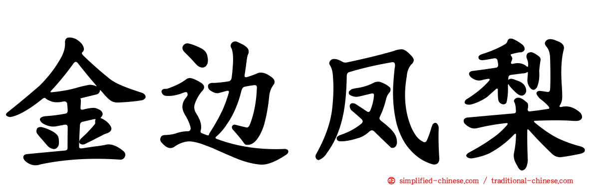 金边凤梨