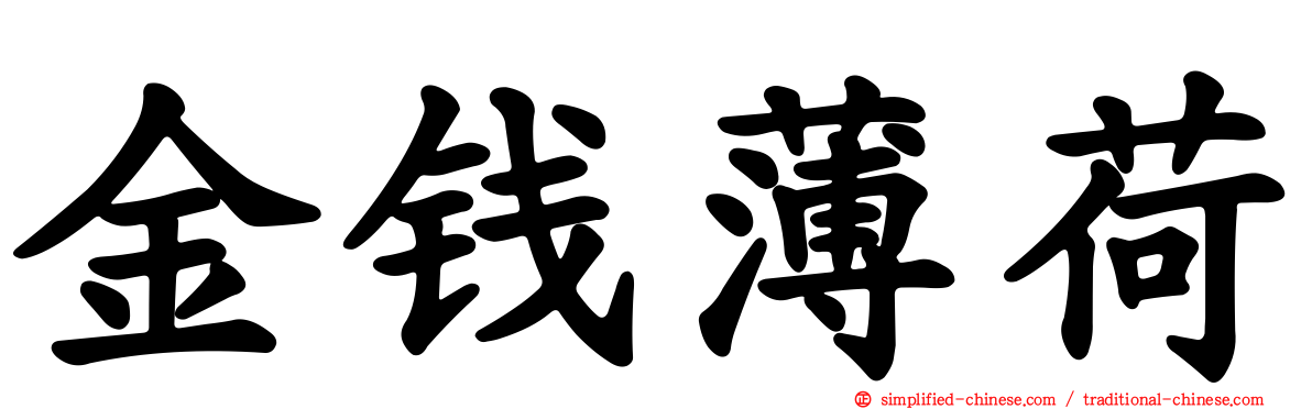 金钱薄荷