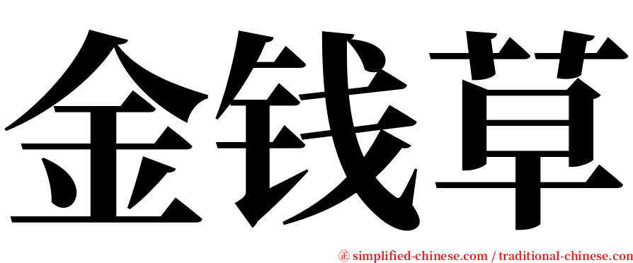 金钱草 serif font