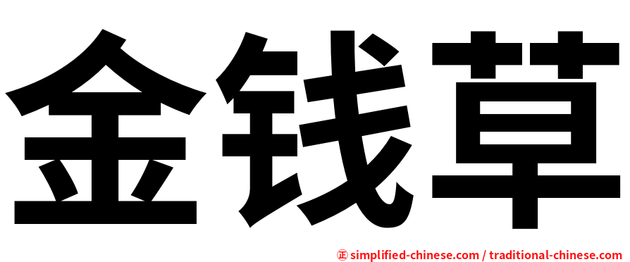 金钱草